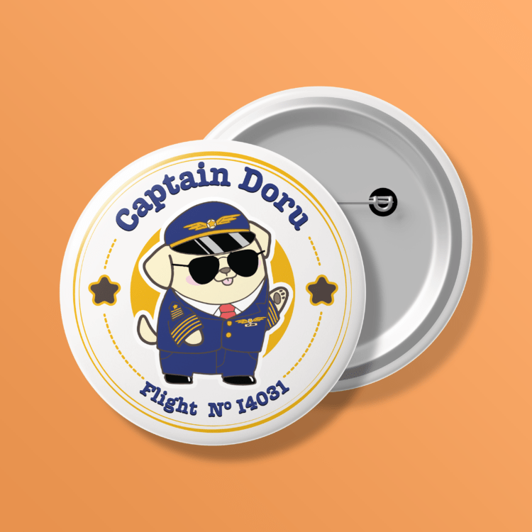 Badge 01: Captain Doru Flight No I4031