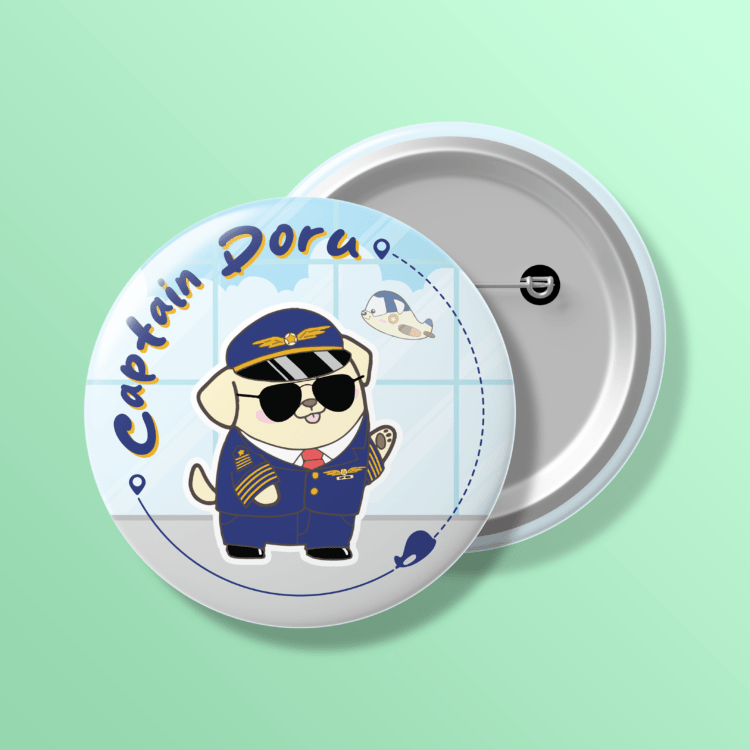 Badge 06: Captain Doru Flight Path